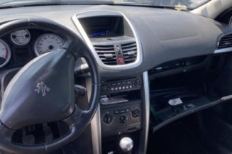 Cremaillere assistee PEUGEOT 207