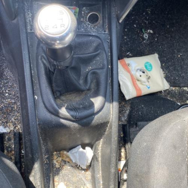 Cremaillere assistee PEUGEOT 207 Photo n°20