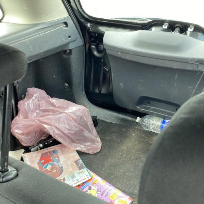 Poignee porte arriere droit DACIA LOGAN MCV 2 Photo n°16