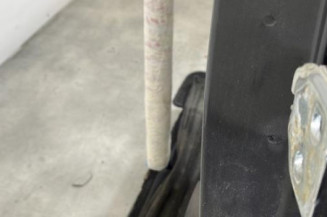 Porte arriere gauche DACIA LOGAN MCV 2