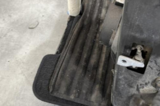 Porte arriere gauche DACIA LOGAN MCV 2