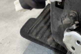 Porte arriere gauche DACIA LOGAN MCV 2