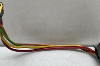 Neiman RENAULT SCENIC 1