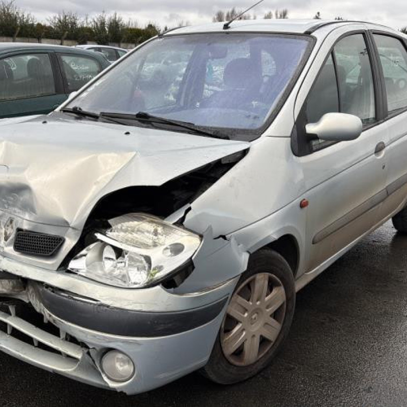 Neiman RENAULT SCENIC 1 Photo n°6