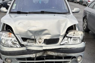 Neiman RENAULT SCENIC 1