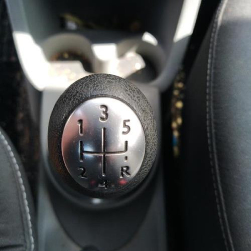 Poignee porte arriere gauche RENAULT MODUS Photo n°9