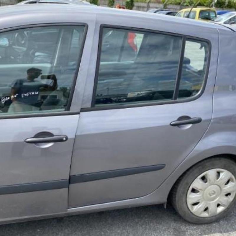 Poignee porte arriere gauche RENAULT MODUS Photo n°10