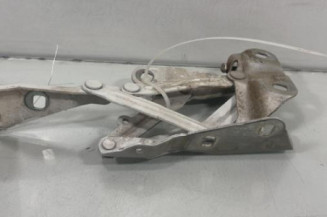 Charniere de capot FORD TRANSIT 5 Photo n°1