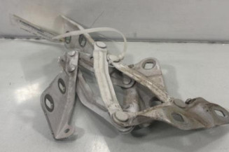 Charniere de capot FORD TRANSIT 5