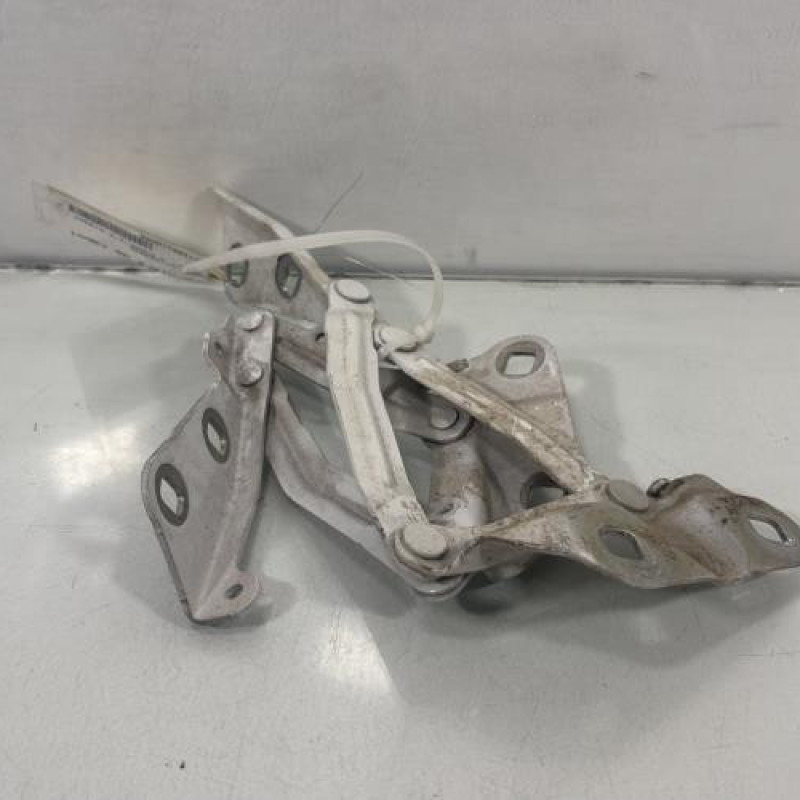 Charniere de capot FORD TRANSIT 5 Photo n°2