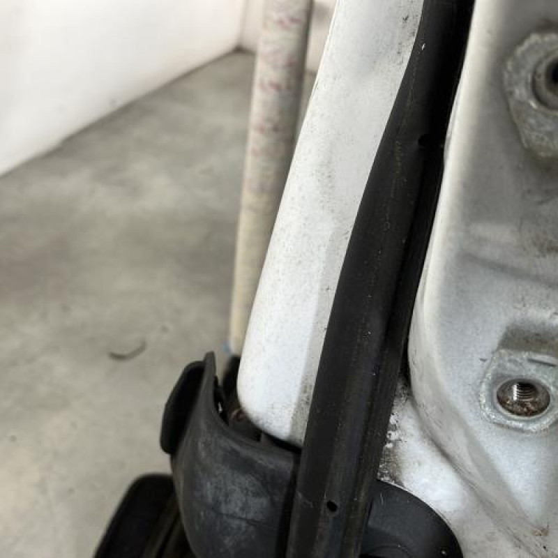 Porte avant gauche FORD FIESTA 6 Photo n°3