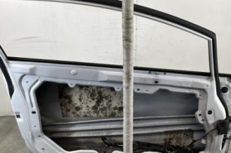 Porte avant gauche FORD FIESTA 6