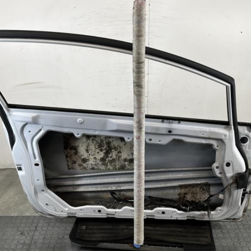 Porte avant gauche FORD FIESTA 6 Photo n°5