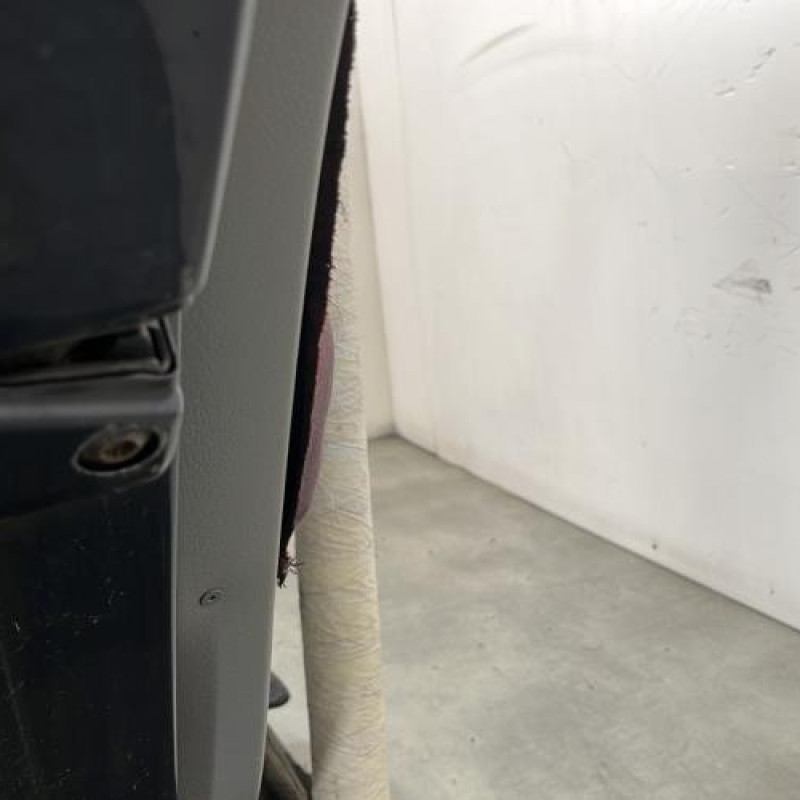 Porte arriere gauche SKODA OCTAVIA 1 Photo n°3