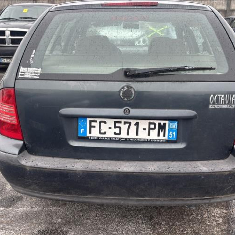 Porte arriere gauche SKODA OCTAVIA 1 Photo n°11