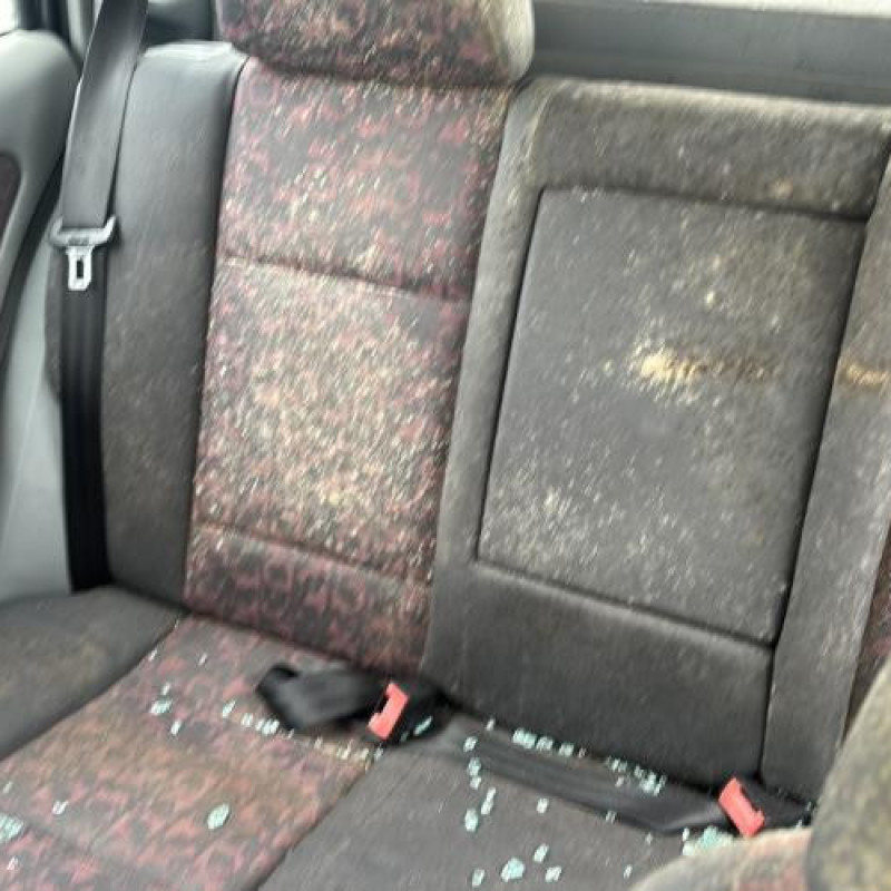 Porte arriere gauche SKODA OCTAVIA 1 Photo n°19