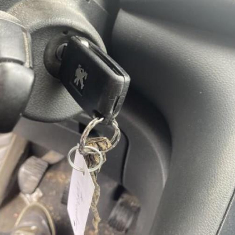 Feu arriere secondaire gauche (feux) PEUGEOT 3008 1 Photo n°5