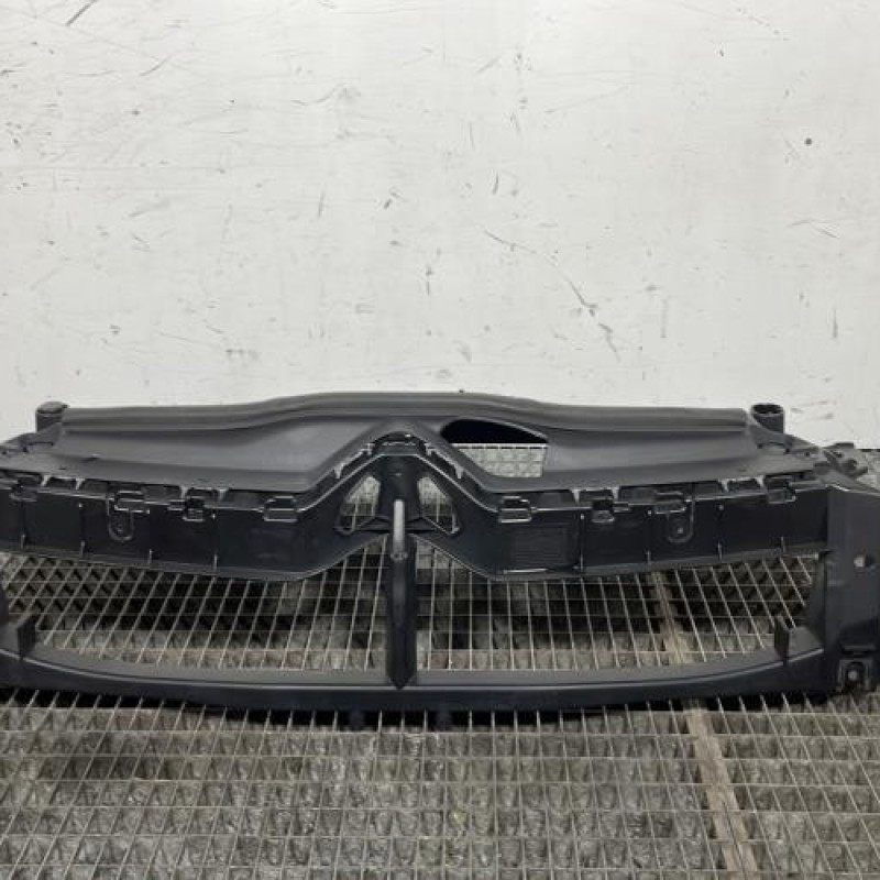 Armature avant, Masque avant CITROEN C4 2 Photo n°1