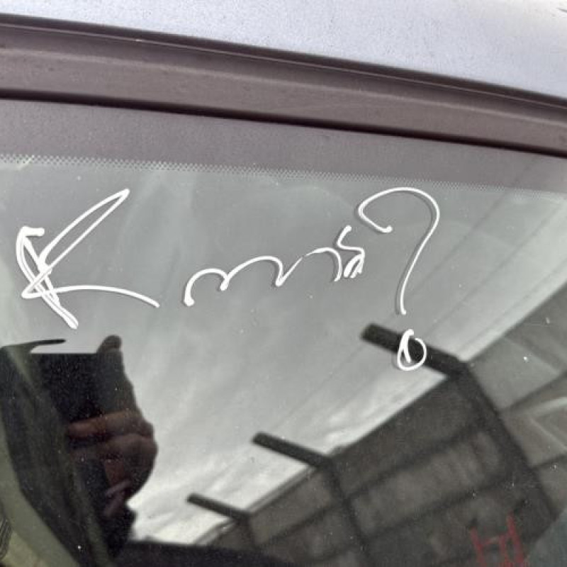 Anti brouillard arriere gauche CITROEN C4 1 Photo n°17