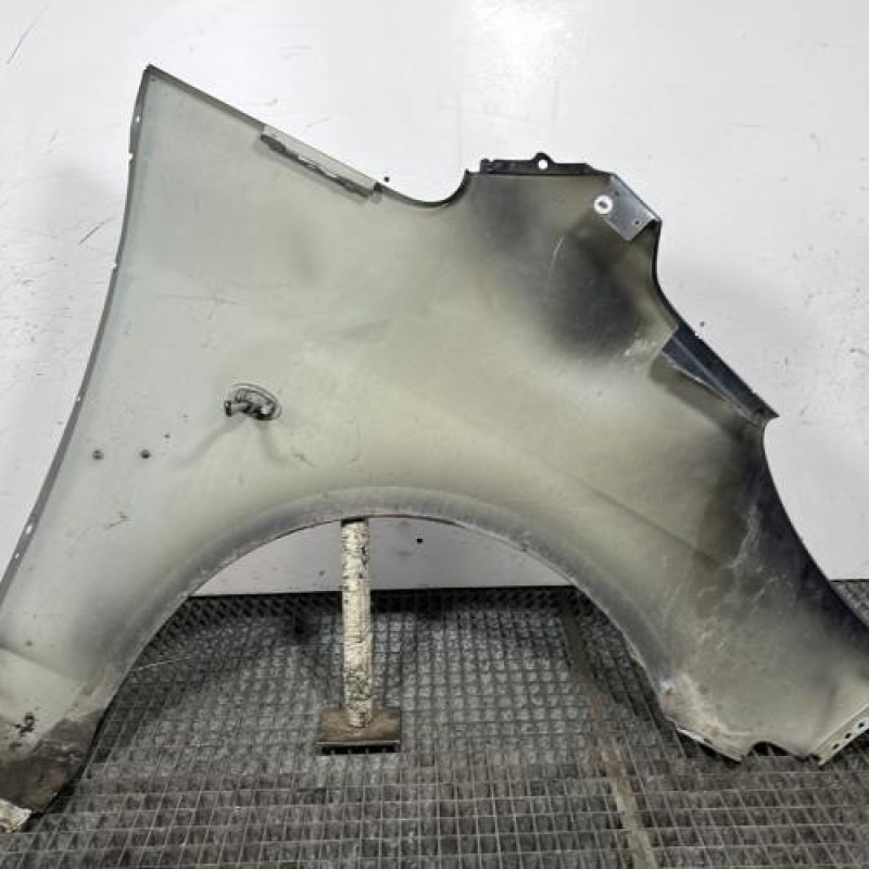 Aile avant gauche PEUGEOT 1007 Photo n°6