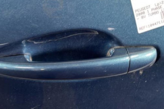 Porte arriere gauche PEUGEOT 2008 1