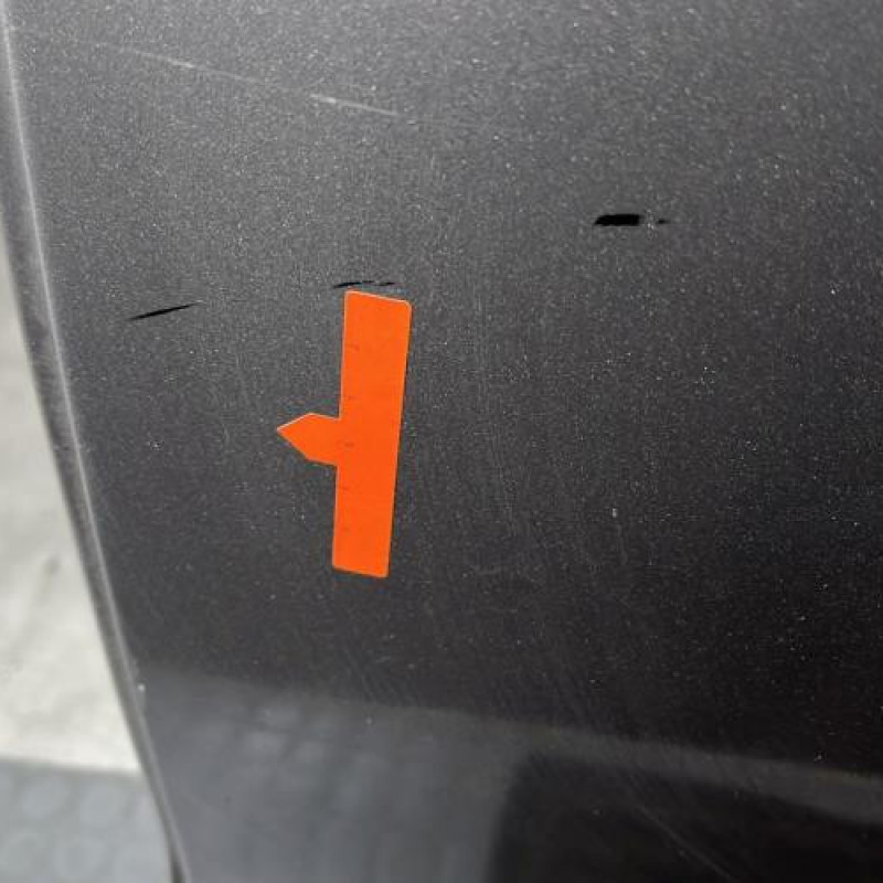 Porte arriere gauche MERCEDES CLASSE A 169 Photo n°2