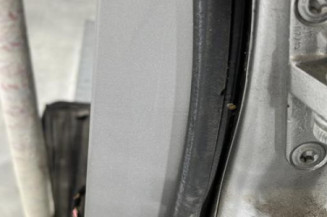 Porte arriere gauche MERCEDES CLASSE A 169