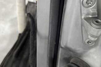 Porte avant gauche MERCEDES CLASSE A 169