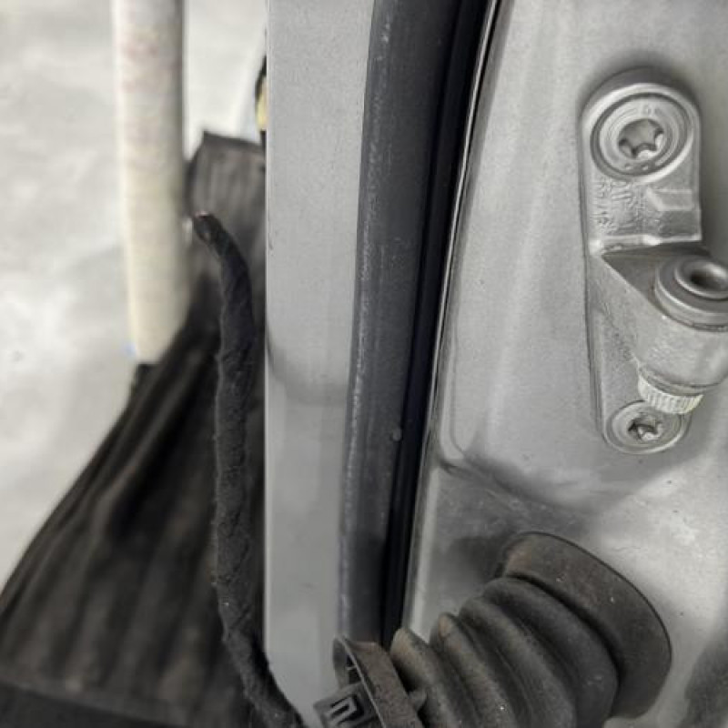 Porte avant gauche MERCEDES CLASSE A 169 Photo n°3