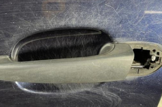 Porte avant gauche BMW SERIE 3 E46