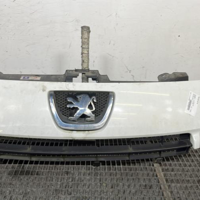 Calandre PEUGEOT EXPERT 2 Photo n°1