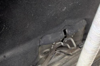 Capot CITROEN C4 PICASSO 1