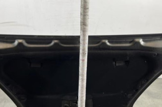 Capot CITROEN C4 PICASSO 1