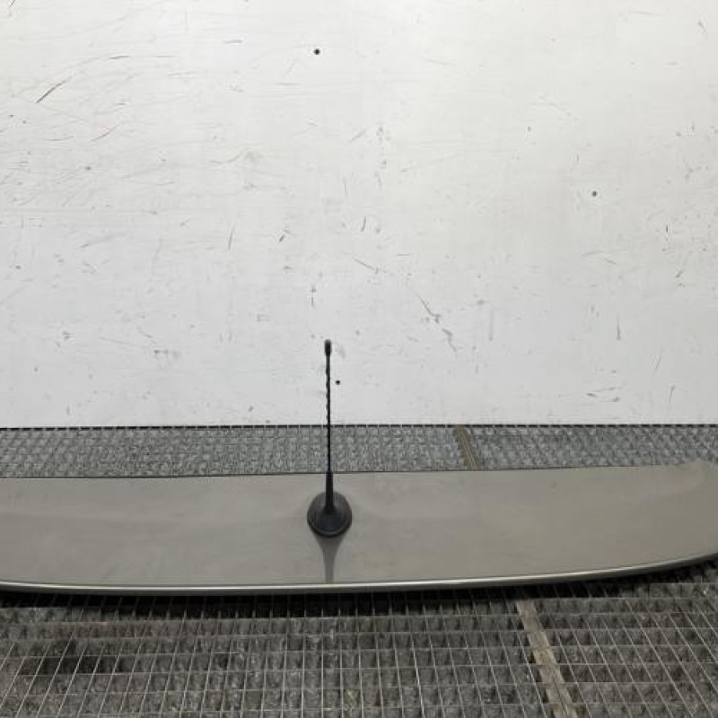 Becquet CITROEN C4 PICASSO 1 Photo n°1