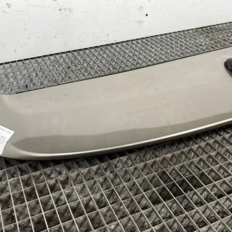 Becquet CITROEN C4 PICASSO 1 Photo n°2