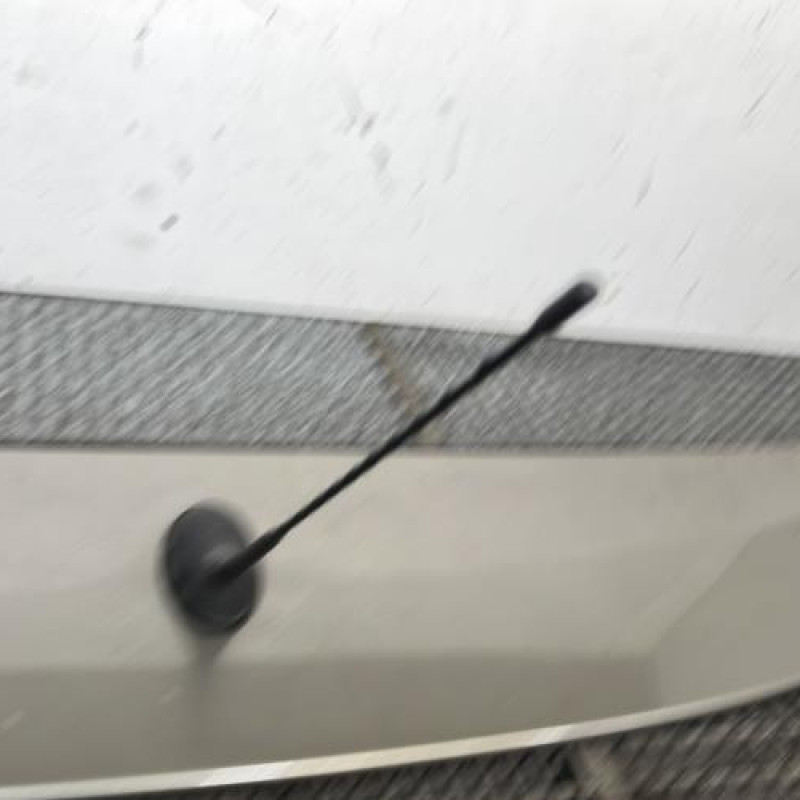 Becquet CITROEN C4 PICASSO 1 Photo n°4