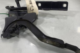 Charniere de capot DACIA SANDERO 3 Photo n°1