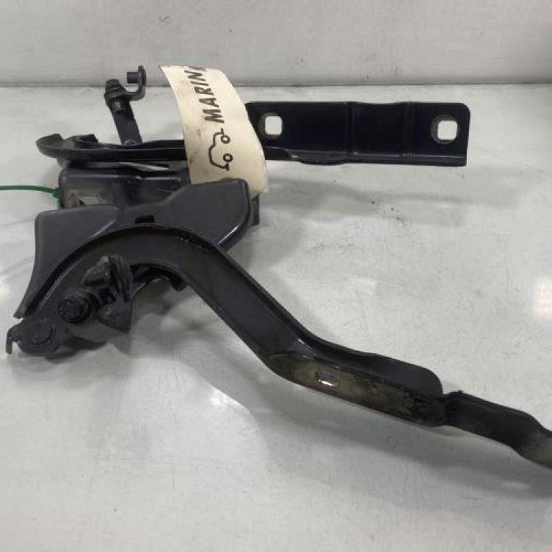 Charniere de capot DACIA SANDERO 3 Photo n°1