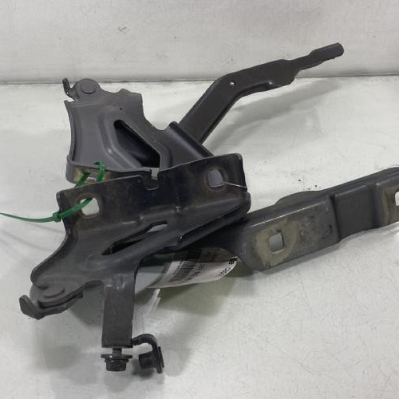 Charniere de capot DACIA SANDERO 3 Photo n°2