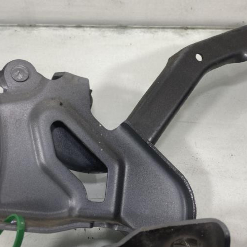 Charniere de capot DACIA SANDERO 3 Photo n°4