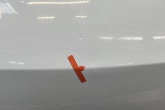 Malle/Hayon arriere RENAULT CLIO 3