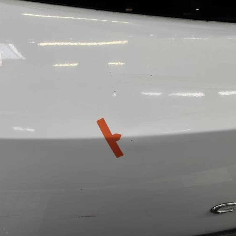 Malle/Hayon arriere RENAULT CLIO 3 Photo n°4