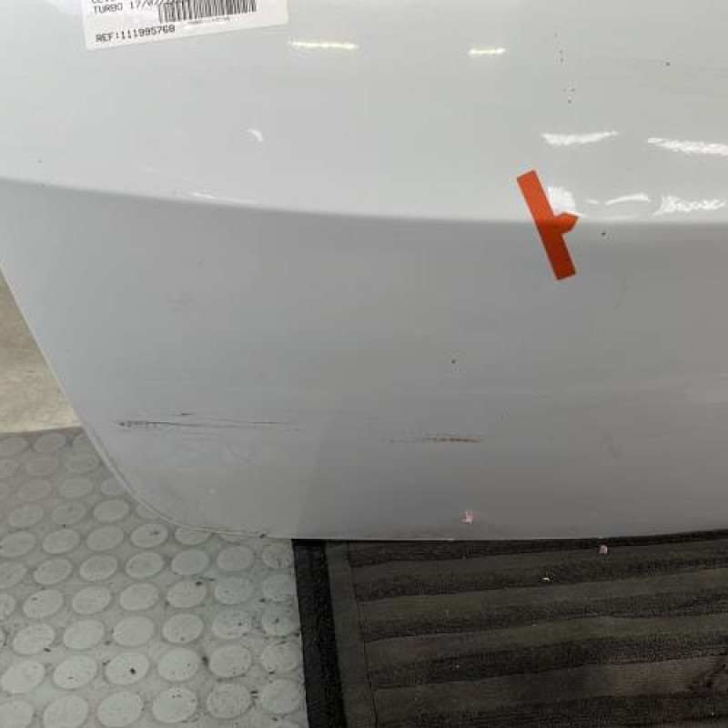 Malle/Hayon arriere RENAULT CLIO 3 Photo n°5