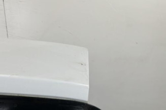 Malle/Hayon arriere RENAULT CLIO 3