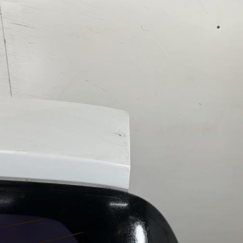 Malle/Hayon arriere RENAULT CLIO 3 Photo n°7