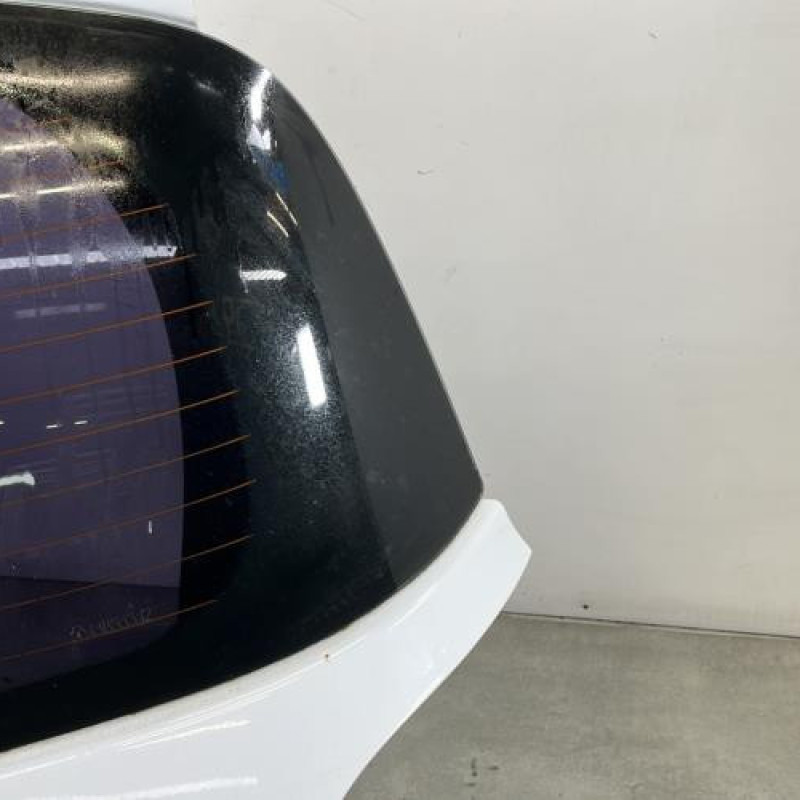 Malle/Hayon arriere RENAULT CLIO 3 Photo n°8