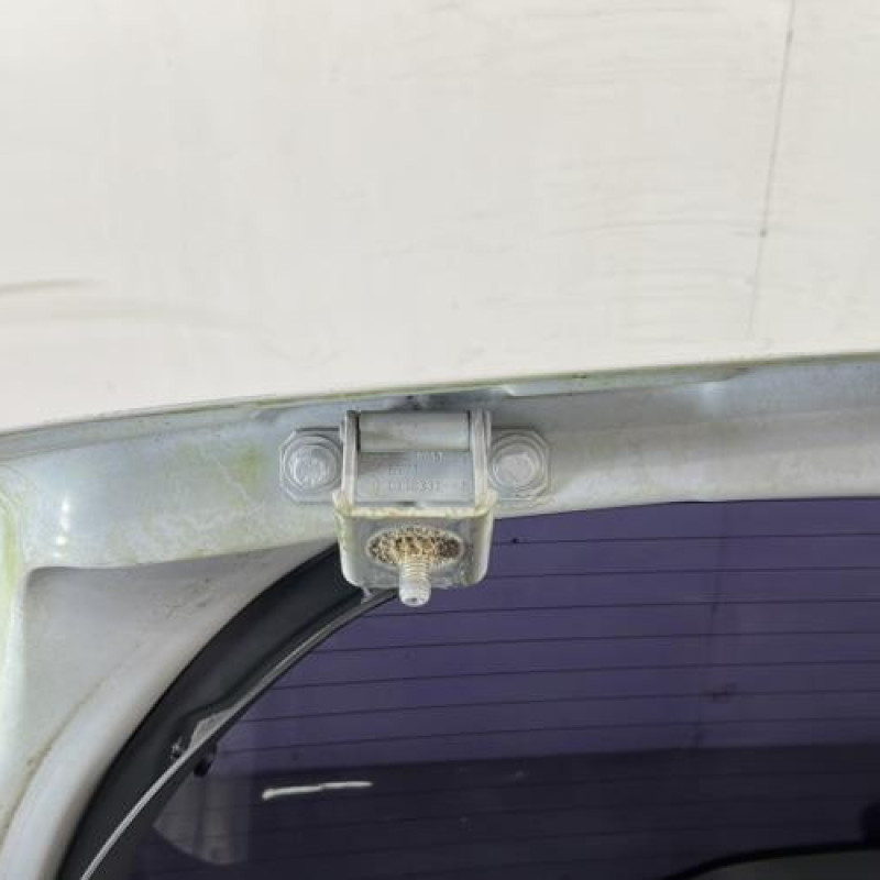 Malle/Hayon arriere RENAULT CLIO 3 Photo n°10