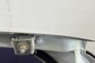 Malle/Hayon arriere RENAULT CLIO 3