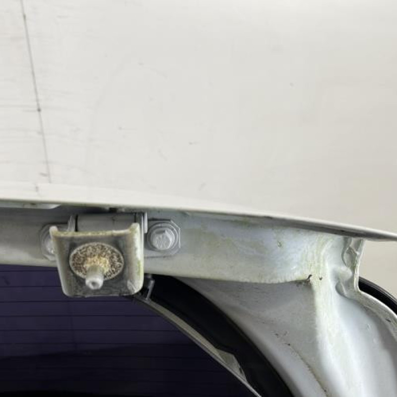 Malle/Hayon arriere RENAULT CLIO 3 Photo n°11