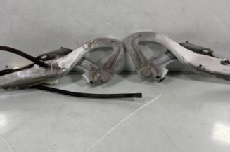 Charniere de capot PEUGEOT 207 Photo n°1